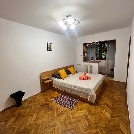 Miha Modern And Central Apartament Malul Muresului Arad Extérieur photo