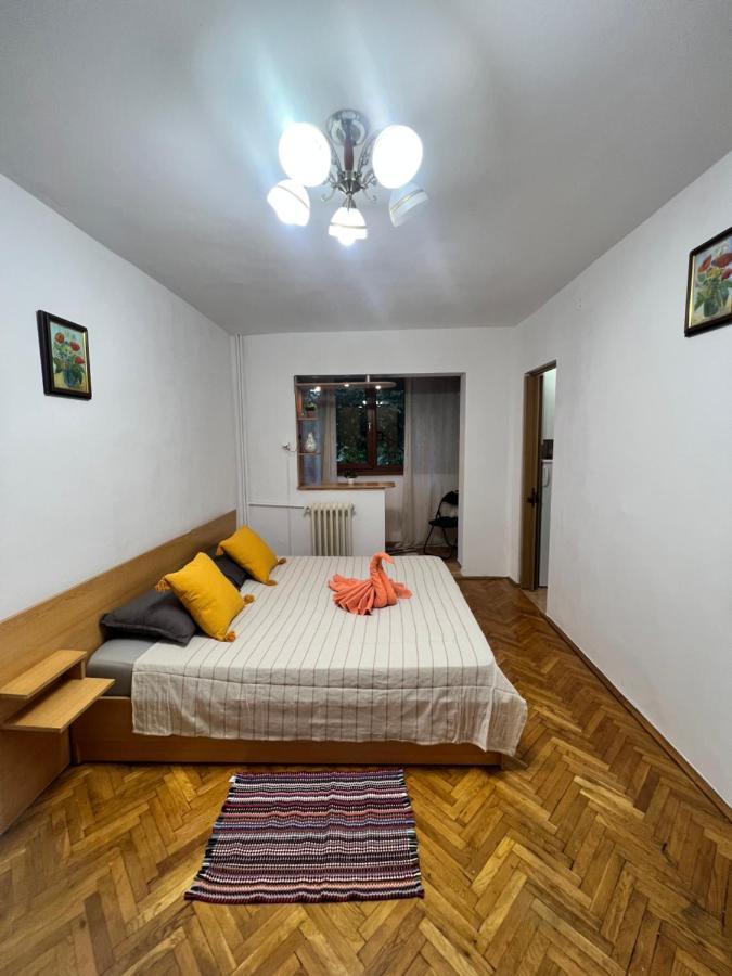 Miha Modern And Central Apartament Malul Muresului Arad Extérieur photo