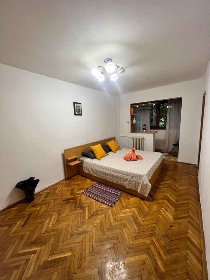 Miha Modern And Central Apartament Malul Muresului Arad Extérieur photo