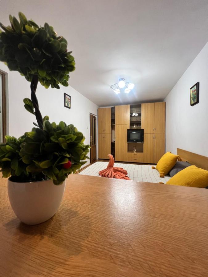 Miha Modern And Central Apartament Malul Muresului Arad Extérieur photo