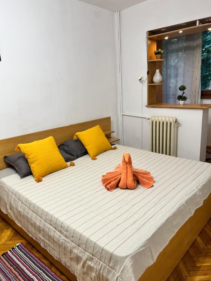 Miha Modern And Central Apartament Malul Muresului Arad Extérieur photo
