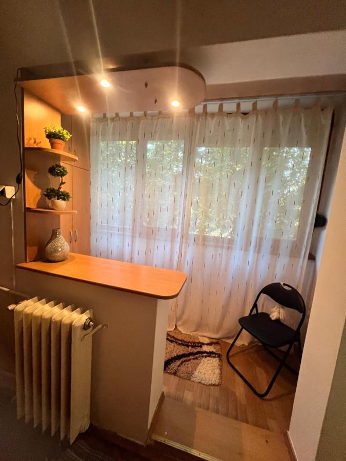 Miha Modern And Central Apartament Malul Muresului Arad Extérieur photo