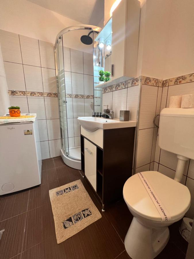 Miha Modern And Central Apartament Malul Muresului Arad Extérieur photo