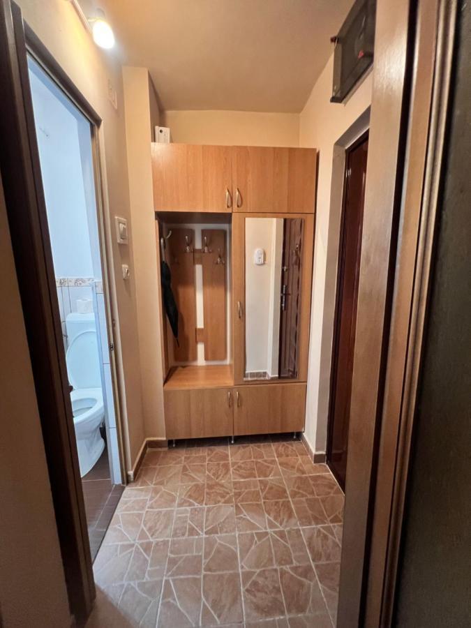 Miha Modern And Central Apartament Malul Muresului Arad Extérieur photo